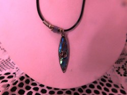 abalone dolphin a